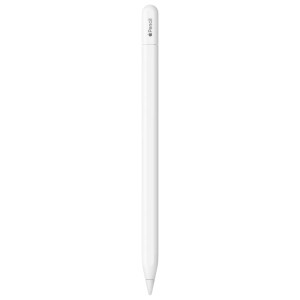 Apple Pencil USB-C ( iPad Air 4, iPad mini 6, iPad Pro 2020-21-22) MUWA3AM/A