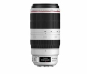 Объектив Canon EF 100-400mm f/4.5-5.6L IS II USM, белый