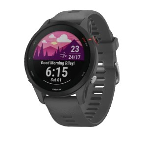 Часы Garmin Forerunner 255 Slate Gray (010-02641-10)