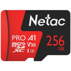 Карта памяти Netac P500 Extreme Pro 256GB Class10 100MB/s (NT02P500PRO-256G-S)