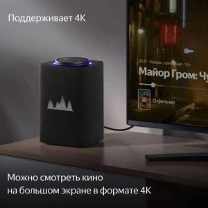 Умная колонка Яндекс Станция Макс с Zigbee YNDX-00053E черный