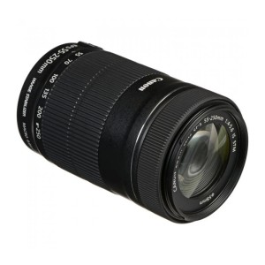 Canon EF-S 55-250mm f/4-5.6 IS STM