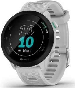 Умные часы Garmin Forerunner 55 Whitestone (010-02562-11)