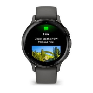 Умные часы Garmin Venu 3S серый с темно-серым безелем