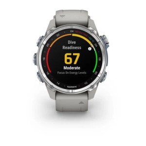 Умные часы Garmin Descent Mk3 (43 мм) из нержавеющей стали с силиконовым туманно-серым ремешком