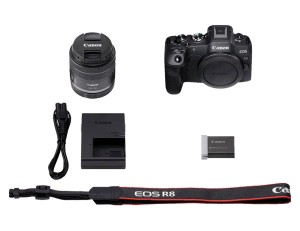 Беззеркальный фотоаппарат Canon EOS R8 Kit RF 24-50mm F4.5-6.3 IS STM