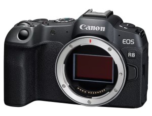 Беззеркальный фотоаппарат Canon EOS R8 Kit RF-S 18-45mm F4.5-6.3 IS STM