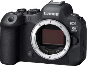 Беззеркальный фотоаппарат Canon EOS R6 Mark II Body