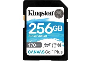 256Гб MicroSDXC карта памяти Kingston Canvas Go Plus! (SDCG3/256)