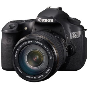 Фотоаппарат Canon EOS 60D Body, черный