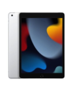 Apple iPad (2021) Wi-Fi + Cellular 256Gb (Silver) (MK4H3LL/A)