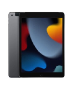 Планшет Apple iPad (2021) 256Gb Wi-Fi + Cellular (Cерый космос) MK4E3LL/A