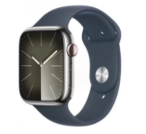 Умные часы Apple Watch Series 9 GPS + Cellular, 45mm Stainless Steel Case with Storm Blue Sport Band M/L