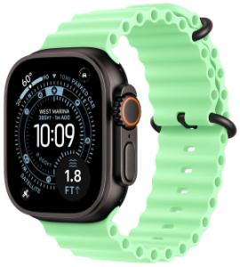 Смарт-часы Apple Watch Ultra 3 (2025) 49mm Black Titanium Case GPS + Cellular with Ocean Band